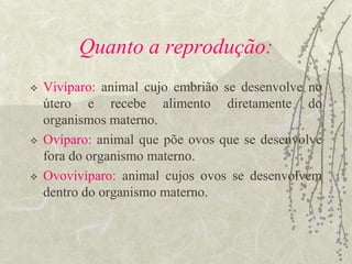 TIPOS DE FERTILIZAÇÃOFERTILIZAÇÃO EXTERNA:   ocorre quando o macho e a fêmea depositam seus gametas no ambiente.