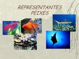 Quanto a reprodução:Vivíparo: animal cujo embrião se desenvolve no útero e recebe alimento diretamente do organismos materno. Ovíparo: animal que põe ovos que se desenvolve fora do organismo materno.Ovovivíparo: animal cujos ovos se desenvolvem dentro do organismo materno. 
