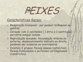 REPRESENTANTES PEIXES