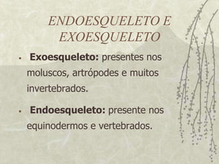 ENDOESQUELETO E EXOESQUELETO Exoesqueleto: presentes nos moluscos, artrópodes e muitos invertebrados.