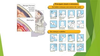 Diversidade da vida microscópica 7º ano..pptx