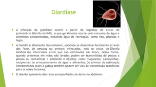 Giardíase
 A infecção da giardíase ocorre a partir da ingestão de cistos do
protozoário Giardia lamblia, o que geralmente ocorre pelo consumo de água e
alimentos contaminados, incluindo água de recreação, como rios, piscinas e
lagos.
 A Giardia é altamente transmissível, podendo se disseminar facilmente através
das fezes de pessoas ou animais infectados, pois os cistos de Giardia
lamblia são infecciosos assim que são eliminados nas fezes, dessa forma,
quando presentes em mãos não lavadas podem ser transmitidos de pessoa a
pessoa ou contaminar o ambiente e objetos, como maçanetas, campainhas,
recipientes de armazenamento de água e alimentos. Os animais de estimação
contaminados (cães e gatos) também podem ser vias de transmissão zoonóticas
para os seres humanos.
 O doente apresenta diarreias acompanhadas de dores no abdômen.
 