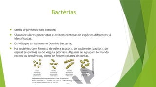 Bactérias
 são os organismos mais simples;
 São unicelulares procariotos e existem centenas de espécies diferentes já
identificadas.
 Os biólogos as incluem no Domínio Bacteria;
 Há bactérias com formato de esfera (cocos), de bastonete (bacilos), de
espiral (espirilos) ou de vírgula (vibrião). Algumas se agrupam formando
cachos ou sequências, como se fossem colares de contas.
 