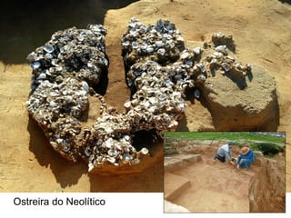 Ostreira do Neolítico
 