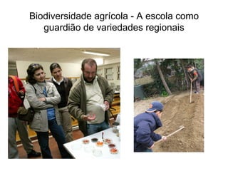 Biodiversidade agrícola - A escola como
   guardião de variedades regionais
 