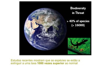 Estudos recentes mostram que as espécies se estão a
extinguir a uma taxa 1000 vezes superior ao normal
 