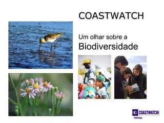 COASTWATCH

Um olhar sobre a
Biodiversidade
 