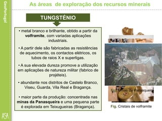 • metal branco e brilhante, obtido a partir da
volframite, com variadas aplicações
industriais.
• A partir dele são fabricadas as resistências
de aquecimento, os contactos elétricos, os
tubos de raios X e superligas.
• A sua elevada dureza promove a utilização
em aplicações de natureza militar (fabrico de
projéteis).
• abundante nos distritos de Castelo Branco,
Viseu, Guarda, Vila Real e Bragança.
• maior parte da produção: concentrada nas
minas da Panasqueira e uma pequena parte
é explorada em Teixugueiras (Bragança). Fig. Cristais de volframite
As áreas de exploração dos recursos minerais
TUNGSTÉNIO
Fig. Amostra de tungsténio
Fig. Minas da Panasqueira
 