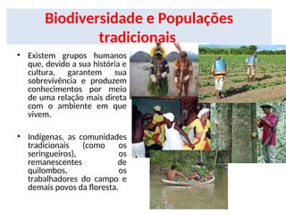 Biodiversidade e Populações
tradicionais
• Existem grupos humanos
que, devido a sua história e
cultura, garantem sua
sobrevivência e produzem
conhecimentos por meio
de uma relação mais direta
com o ambiente em que
vivem.
• Indígenas, as comunidades
tradicionais (como os
seringueiros), os
remanescentes de
quilombos, os
trabalhadores do campo e
demais povos da floresta.
 