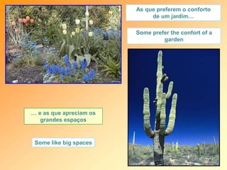 As que preferem o conforto
de um jardim…
… e as que apreciam os
grandes espaços
Some prefer the confort of a
garden
Some like big spaces
 