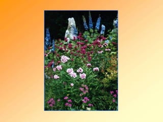 Diversidade e multiculturalidade