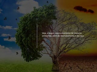 Veja, a seguir, outros exemplos de impacto
ambiental, além do desmatamento e da caça.
 