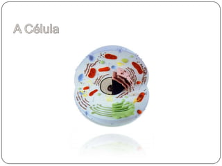 A Célula