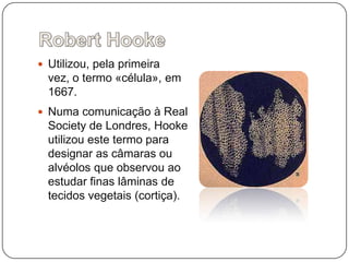 RobertHookeUtilizou, pela primeira vez, o termo «célula», em 1667. Numa comunicação à Real Society de Londres, Hooke utilizou este termo para designar as câmaras ou alvéolos que observou ao estudar finas lâminas de tecidos vegetais (cortiça).