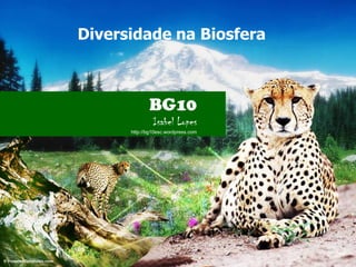 Diversidade na Biosfera
BG10
Isabel Lopes
http://bg10esc.wordpress.com
