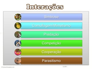 Simbiose
Camuflagem/Mimetismo
Predação
Competição
Cooperação
Parasitismo
IL 2011