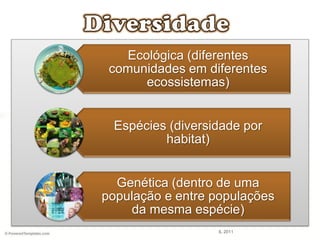 Ecológica (diferentes
comunidades em diferentes
ecossistemas)
Espécies (diversidade por
habitat)
Genética (dentro de uma
população e entre populações
da mesma espécie)
IL 2011