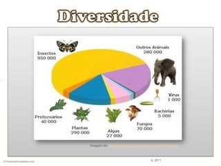 Imagem de: http://www.cientic.com/tema_classif_img6.html
IL 2011