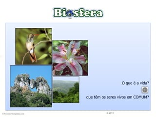 O que é a vida?
que têm os seres vivos em COMUM?
IL 2011