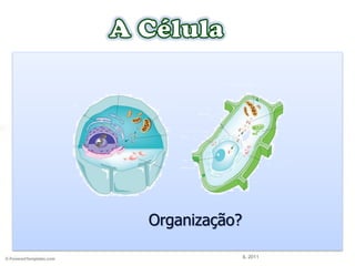 Organização?
IL 2011