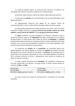 As reações de hidrólise separam os monómeros que constituem um polímero. Por
cada ligação que se desfaz é necessária a adição de uma molécula de água.

       As proteínas, ácidos nucleicos, hidratos de carbono e alguns lípidos são polímeros.

        Os monómeros dos glícidos são os monossacarídeos. Os monossacarídeos ligam-se por
ligações glicosídicas.

      Os oligossacarídeos formam-se pela ligação de um pequeno número de
monossacarídeos (de 2 a 10) e os polissacarídeos são longas cadeias de monossacarídeos.

       Os polissacarídeos desempenham funções estruturais e de reserva. Entre os de maior
importância biológica encontra-se a celulose (estrutural das paredes celulares das células
vegetais), o amido (reserva dos vegetais) e ainda o glicogénio (reserva dos animais).

        Os lípidos constituem um grupo heterogéneo de moléculas, insolúveis na água e
solúveis em solventes orgânicos. Os triglicérideos são lípidos constituídos por uma molécula
de glicerol ligada a 3 ácidos gordos e têm funções de reserva. Os fosfolípidos e o colestrol
desempenham funções estruturais nas membranas celulares. Existem ainda lípidos com função
protetora, como as ceras que impermeabilizam superfícies, ou com função reguladora, como
certas hormonas que são moléculas de natureza lípidica.

        Os monómeros dos prótidos são os aminoácidos. Os aminoácidos ligam-se por
ligações peptídicas, para formar péptidos ou proteínas. Os péptidos são polímeros formados
pela ligação de um número reduzido de aminoácidos. As proteínas são constituídas por um
grande número de aminoácidos, organizados em uma ou mais cadeias peptídicas. As proteínas
são os principais polímeros estruturais e desempenham ainda funções de transporte, de
defesa, de reserva e enzimática.

       Os ácidos nucleicos são polímeros de nucleótidos. Um nucleótido é constituído por
uma base azotada (BA), uma pentose e um grupo fosfato. Os ácidos nucleicos podem ser
moléculas de DNA ou de RNA.

Ácido fosfato                                  Ácido fosfato
Pentose (DNA)                                  Pentose (RNA)
BA: adenina, timina, guanina e citosina        BA: adenina, uracilo, guanina e citosina


        Os ácidos nucleicos têm função de armazenamento e transferência da informação
hereditária.
 
