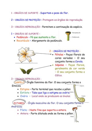 1 - ORGÃOS DE SUPORTE - Suportam o peso da flor.

2 – ORGÃOS DE PROTEÇÃO – Protegem os órgãos de reprodução.
3 – ORGÃOS REPRODUÇÃO – Permitem a continuação da espécie.
1 – ORGÃOS DE SUPORTE –
 Pedúnculo – Pé que sustenta a flor.
 Recetáculo – Alargamento do pedúnculo.

2 – ORGÃOS DE PROTEÇÃO –
 Pétalas – Peças florais de
cores variadas – O seu
conjunto forma a Corola.
 Sépalas – Peças florais,
geralmente de cor verde
– O seu conjunto forma o
Cálice.
3 – ORGÃOS REPRODUÇÃO CARPELO – Órgão feminino da flor. O seu conjunto forma o
Gineceu
 Estigma – Parte terminal que recebe o pólen
 Estilete – Tubo que liga o estigma ao ovário.
 Ovário – Local onde se produzem os óvulos.
ESTAMES - Órgão masculino da flor. O seu conjunto forma o

Androceu
 Filete – Haste fina que suporta a antera.
 Antera – Parte dilatada onde se forma o pólen.

 