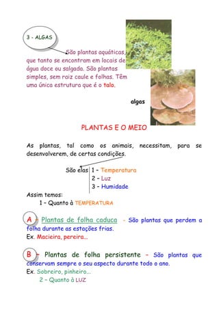 3 - ALGAS

São plantas aquáticas,
que tanto se encontram em locais de
água doce ou salgada. São plantas
simples, sem raiz caule e folhas. Têm
uma única estrutura que é o talo.
algas

PLANTAS E O MEIO
As plantas, tal como os animais,
desenvolverem, de certas condições.

necessitam,

para

se

São elas 1 – Temperatura
2 – Luz
3 – Humidade
Assim temos:
1 – Quanto à TEMPERATURA

A – Plantas de folha caduca

- São plantas que perdem a

folha durante as estações frias.
Ex. Macieira, pereira...

B – Plantas de folha persistente

– São plantas que
conservam sempre o seu aspecto durante todo o ano.
Ex. Sobreiro, pinheiro...
2 – Quanto à LUZ

 