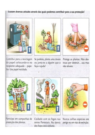 Diversidade nas plantas