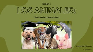 Educación Primaria
1º PRIMARIA
LOS ANIMALES:
Ciencia de la Naturaleza
Sesión 1
 