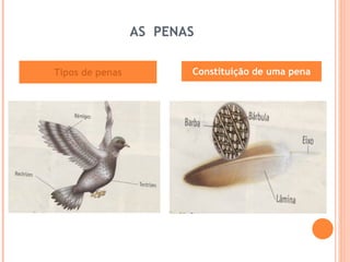 AS  PENAS Tipos de penas Constituição de uma pena 