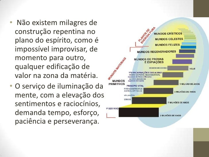 VINHAS DE LUZ EBOOK VINHAS DE LUZ EBOOK