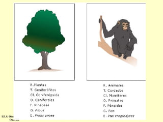 I.E.S. Otero Pedrayo.
Ourense

 