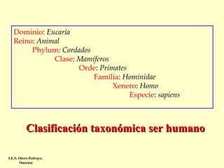 Dominio: Eucaria
Reino: Animal
          Phylum: Cordados  
                      Clase: Mamíferos
                                   Orde: Primates
                                           Familia: Hominidae  
                                                     Xenero: Homo  
                                                              Especie: sapiens

Clasificación taxonómica ser humano
I.E.S. Otero Pedrayo.
Ourense

 