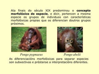 Ata finais do século XIX predominou o concepto
morfolóxico de especie, e dicir, pertencen a mesma
especie
especie os grupos de individuos con características
morfolóxicas propias que os diferencian doutros grupos
próximos.

Pongo pygmaeus

Pongo abelii

As diferenciacións morfolóxicas para separar especies
son subxectivas e préstanse a interpretacións diferentes.

 