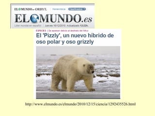 http://www.elmundo.es/elmundo/2010/12/15/ciencia/1292435526.html

 