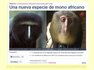 http://www.elmundo.es/elmundo/2012/09/12/ciencia/1347444771.html

 