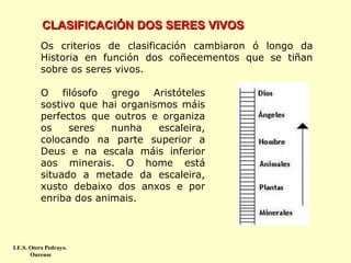 CLASIFICACIÓN DOS SERES VIVOS
Os criterios de clasificación cambiaron ó longo da
Historia en función dos coñecementos que se tiñan
sobre os seres vivos.
O filósofo grego Aristóteles
sostivo que hai organismos máis
perfectos que outros e organiza
os
seres
nunha
escaleira,
colocando na parte superior a
Deus e na escala máis inferior
aos minerais. O home está
situado a metade da escaleira,
xusto debaixo dos anxos e por
enriba dos animais.

I.E.S. Otero Pedrayo.
Ourense

 