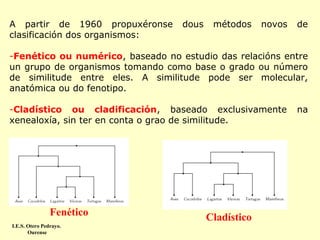 A partir de 1960 propuxéronse
clasificación dos organismos:

dous

métodos

novos

de

-Fenético ou numérico, baseado no estudio das relacións entre
un grupo de organismos tomando como base o grado ou número
de similitude entre eles. A similitude pode ser molecular,
anatómica ou do fenotipo.
-Cladístico ou cladificación, baseado exclusivamente
xenealoxía, sin ter en conta o grao de similitude.

Fenético
I.E.S. Otero Pedrayo.
Ourense

Cladístico

na

 