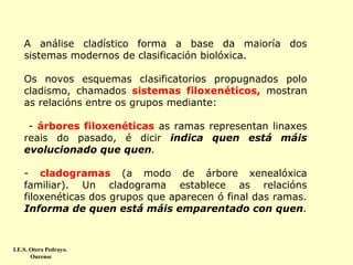 A análise cladístico forma a base da maioría dos
sistemas modernos de clasificación biolóxica.
Os novos esquemas clasificatorios propugnados polo
cladismo, chamados sistemas filoxenéticos, mostran
as relacións entre os grupos mediante:
- árbores filoxenéticas as ramas representan linaxes
reais do pasado, é dicir indica quen está máis
evolucionado que quen.
- cladogramas (a modo de árbore xenealóxica
familiar). Un cladograma establece as relacións
filoxenéticas dos grupos que aparecen ó final das ramas.
Informa de quen está máis emparentado con quen.

I.E.S. Otero Pedrayo.
Ourense

 