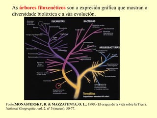 As árbores filoxenéticos son a expresión gráfica que mostran a
diversidade biolóxica e a súa evolución.

Fonte:MONASTERSKY, R. & MAZZATENTA, O. L.; 1998.- El origen de la vida sobre la Tierra.
National Geographic, vol. 2, nº 3 (marzo): 50-77.

 