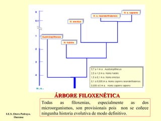 ÁRBORE FILOXENÉTICA

I.E.S. Otero Pedrayo.
Ourense

Todas
as
filoxenias,
especialmente
as
dos
microorganismos, son provisionais pois non se coñece
ningunha historia evolutiva de modo definitivo.

 