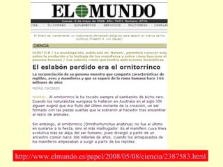 http://www.elmundo.es/papel/2008/05/08/ciencia/2387583.html

 