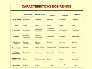 CARACTERÍSTICAS DOS REINOS
  
 

BACTERIAS

Tipo de células

PROTOCTISTAS

FUNGOS

PLANTAS

ANIMAIS

Procariotas

Eucariotas

Eucariotas

Eucariotas

Eucariotas

Circular

Lineal

Lineal

Lineal

Lineal

Nº de células

Unicelulares

Unicelulares 
Pluricelulares

 

Pluricelulares

Pluricelulares

Nutrición

Autótrofos 
Heterótrofos

 

Autótrofos 
Heterótrofos

 

Heterótrofos

Autótrofos

Heterótrofos

Química 
Luminosa

 

Química 
Luminosa

 

Química

Luminosa

Química

ADN

Enerxía que
utilizan

Unicelulares 
Pluricelulares

 

Asexual

Asexual /Sexual

Asexual /Sexual

Asexual /Sexual

Sexual

Tecidos
diferenciados

NoN existen

Non existen

Non existen

Existen

Existen

Existencia de
parede celular

Existe

Existe /Non existe

Existe

Existe

Non existe

Sí / Non

Sí / Non

Reproducción

Movilidade

Non

si

si

 