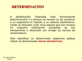 DETERMINACION
A
identificación
(chamada
máis
técnicamente
determinación) é o proceso de nomear ou de recoñecer
a un organismo en relación a un sistema clasificatorio.
Cando se descubre unha nova especie que non encaixa
en
ningunha
clasificación
procédese
ao
seu
nomeamento e descrición con arreglo ás normas da
nomenclatura.
Para identificar un determinado organismo pódese
utilizar as denominadas claves dicotómicas.

I.E.S. Otero Pedrayo.
Ourense

 