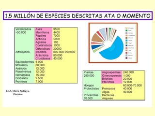 1,5 MILLÓN DE ESPECIES DESCRITAS ATA O MOMENTO

I.E.S. Otero Pedrayo.
Ourense

 