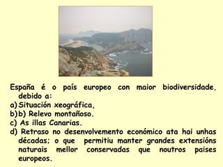 España é o país europeo con maior biodiversidade,
debido a:
a) Situación xeográfica,
b) b) Relevo montañoso.
c) As illas Canarias.
d) Retraso no desenvolvemento económico ata hai unhas
décadas; o que permitiu manter grandes extensións
naturais mellor conservadas que noutros paises
europeos.

 
