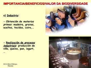 IMPORTANCIA/BENEFICIOS/VALOR DA BIODIVERSIDADE

a) Industria:
Industria
- Obtención de materias
primas: madeira, graxas,
aceites, tecidos, coiro,…

- Realización de procesos
industriais: producción de
viño, queixo, pan, iogurt,
…

I.E.S. Otero Pedrayo.
Ourense

 