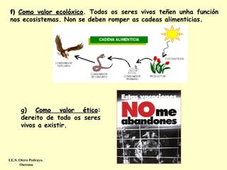 f) Como valor ecolóxico. Todos os seres vivos teñen unha función
ecolóxico
nos ecosistemas. Non se deben romper as cadeas alimenticias.

g) Como valor ético:
ético
dereito de todo os seres
vivos a existir.

I.E.S. Otero Pedrayo.
Ourense

 