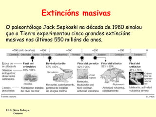 Extincións masivas
O paleontólogo Jack Sepkoski na década de 1980 sinalou
que a Tierra experimentou cinco grandes extincións
masivas nos últimos 550 millóns de anos.

I.E.S. Otero Pedrayo.
Ourense

 