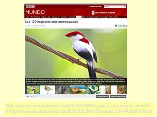 http://www.bbc.co.uk/mundo/noticias/2012/09/120912_galeria_cien_especies_am.shtml

http://www.elmundo.es/elmundo/2012/09/12/natura/1347439367.html

 